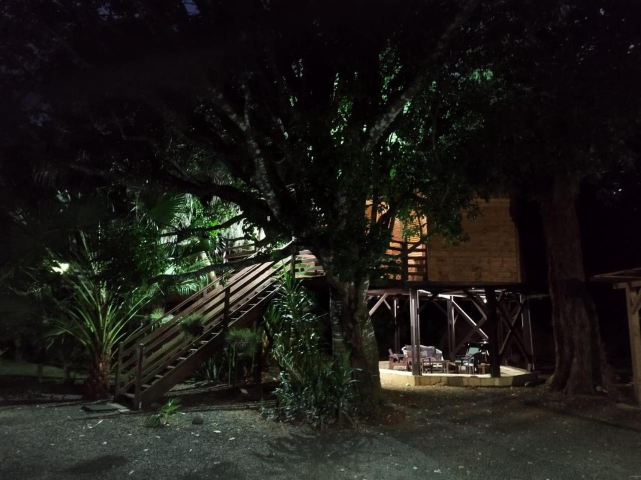 Gite Du Manial "Cabane Du Sentier Des Etoiles" Pointe-Noire Ngoại thất bức ảnh