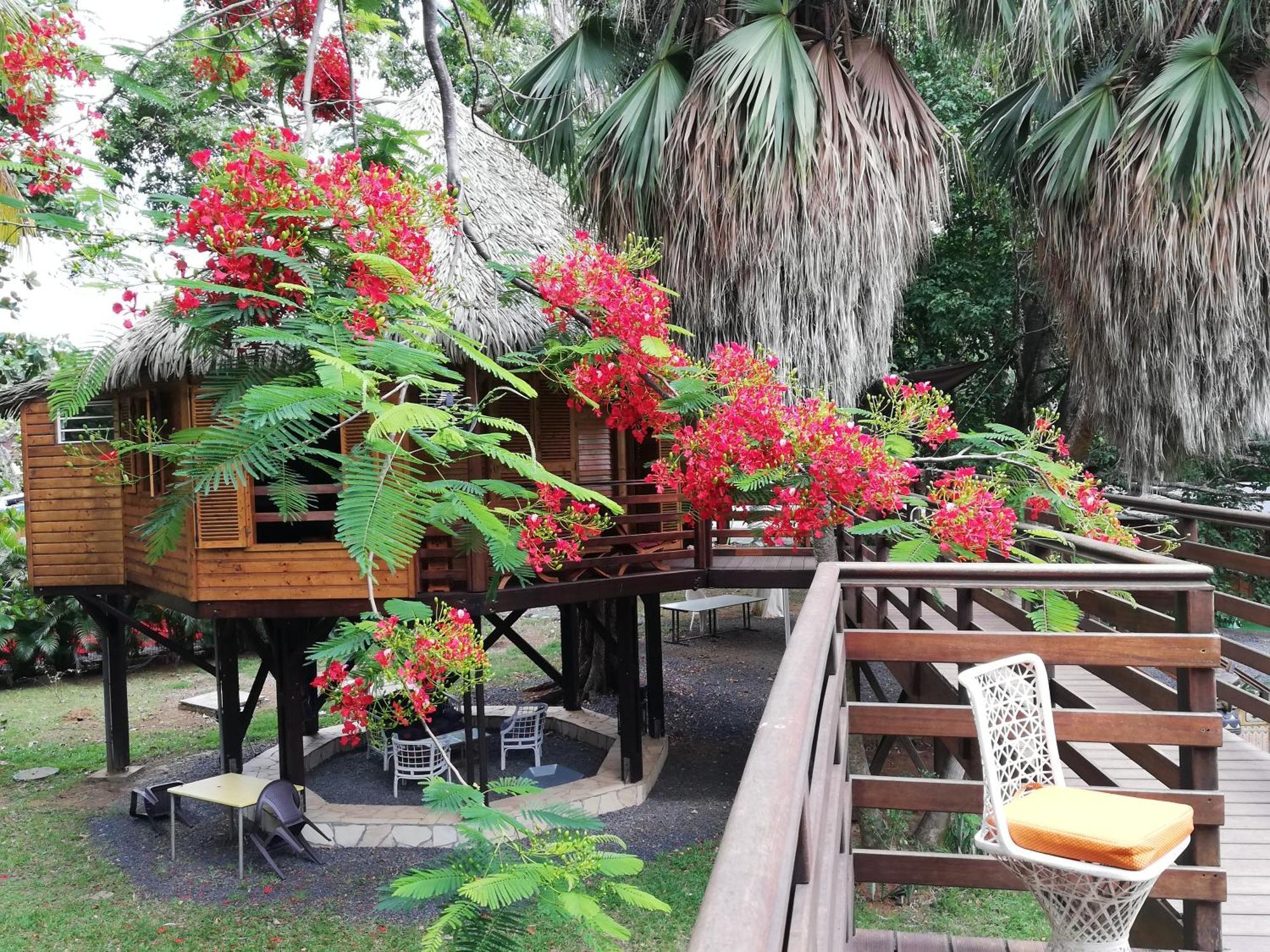 Gite Du Manial "Cabane Du Sentier Des Etoiles" Pointe-Noire Ngoại thất bức ảnh